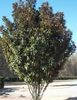 Form, Craven County, NC