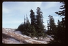 Form (Hood River County, OR)-Late Fall