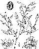 Drawing from 1913