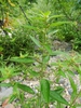 Form