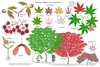 Illustration of all the details of this species.
