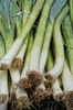 Leeks