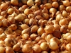 shallots