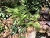 Form - April 12 - Wake Co., NC