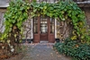 Arbor gate covered with a vine with heart-shaped leaves.