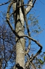 Form