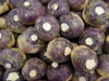 Brassica napus (Napobrasica Group)
