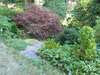 Form of 'Forest Fire'