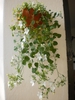 Hanging basket