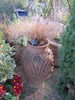 Tufts of hairlike foliage in a large garden urn.