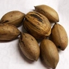 The fruits