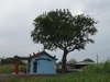 Form