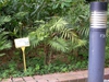 Form