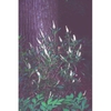 leaves and flowers