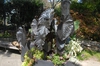 Colocasia