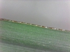 Leaf margin