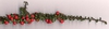 Cotoneaster integrifolius