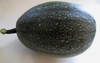 Cucurbita