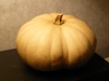 Long Island cheese squash