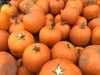Large, orange pumpkins piled at a market