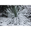 In Winter