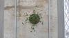 Habit