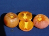 Diospyros virginiana 'Killen'