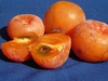Diospyros virginiana 'Morris Burton'