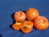 fruit