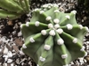 Looking from above