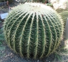 Form