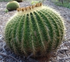 Form