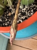 Flower bud and stem