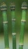 Equisetum praealtum