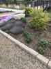 Used in the landscape