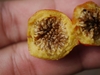 Fruit cut open to reveal seeds