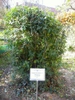 Form