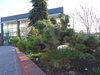 Form in April in Salt Lake City, Utah