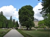 Form in August in Hof Garten, Wurzburg, Germany