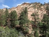 Form in Gifford Canyon in Utah
