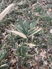 Form in January in Washington, District of Columbia