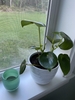 Form