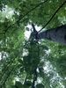 Form in May in Phillips County, Arkansas