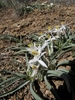 Form in May in Washoe County, North Carolina