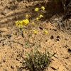 Form in September in Utah