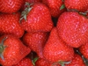 Fruit