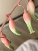 Close up of flower