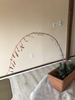 Form in bloom