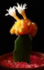 Grafted plant with a single white flower from the upper part.