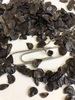Seeds - Wake Co., NC